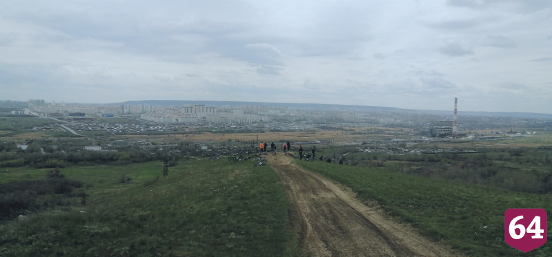 В Саратове цветут степной миндаль и дикие ирисы